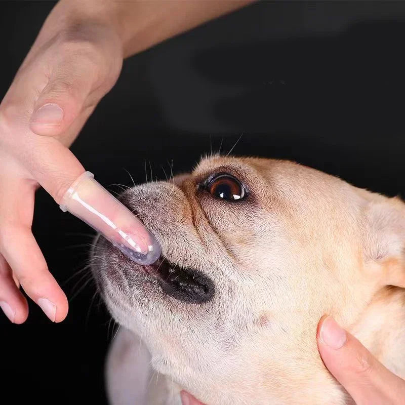 SoftTouch™ Pet - Dedeira de Silicone Premium para Limpeza Bucal e Controle de Tártaro