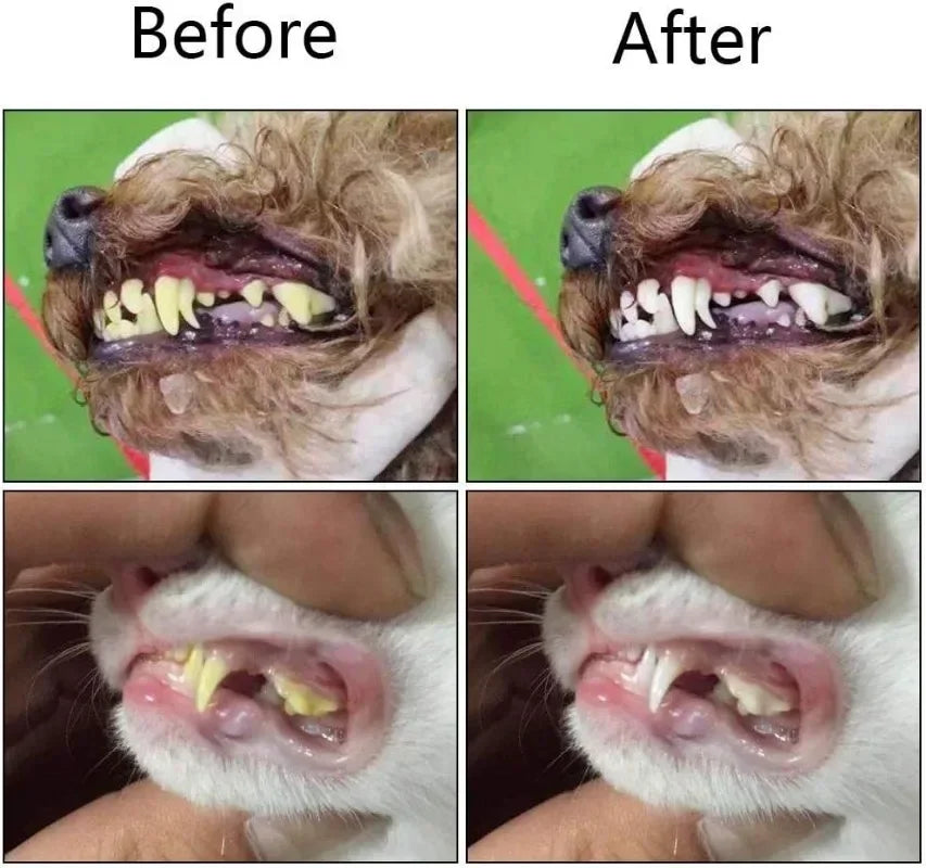 SoftTouch™ Pet - Dedeira de Silicone Premium para Limpeza Bucal e Controle de Tártaro