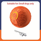 SmartBall™ 360 - Bola Interativa Inteligente com Sensor de Obstáculos e Carregamento USB