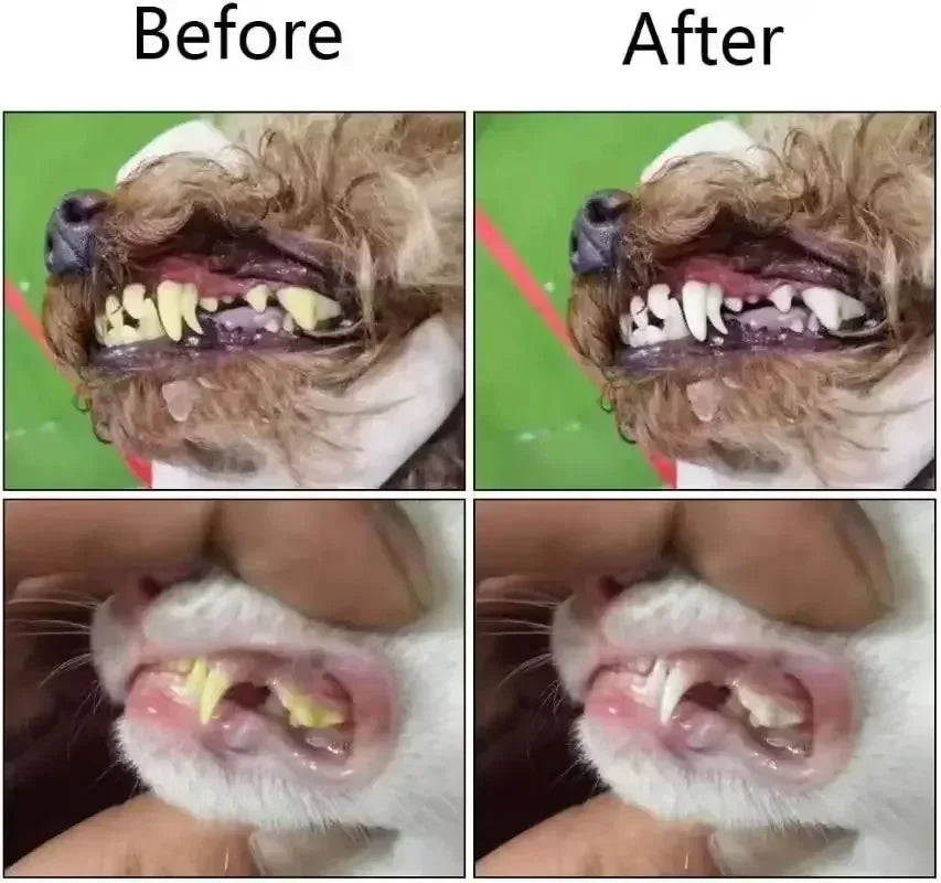 UltraSoft™ Finger Pro - Escova de Dedo com Cerdas de Microfibra de Alta Densidade para Pets