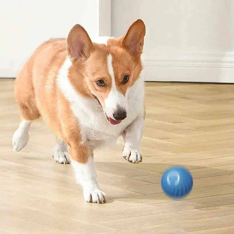SmartBall™ 360 - Bola Interativa Inteligente com Sensor de Obstáculos e Carregamento USB