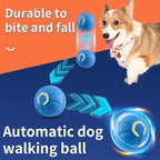 SmartBall™ 360 - Bola Interativa Inteligente com Sensor de Obstáculos e Carregamento USB