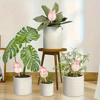 Tulipa Garden™ - Irrigador Automático em Vidro Artesanal para Plantas e Flores