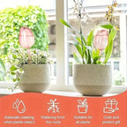 Tulipa Garden™ - Irrigador Automático em Vidro Artesanal para Plantas e Flores
