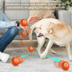 SmartBall™ 360 - Bola Interativa Inteligente com Sensor de Obstáculos e Carregamento USB
