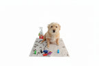 Kit Casa Limpa: 100 Jornais Pet + Educador Sanitário + Cata Caca